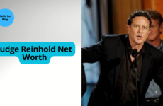 Tim Stokely Net Worth: How Rich Is Tim Stokely? - Xabis Inc Blog